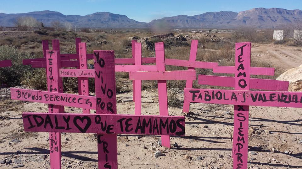 Cruces rosas
