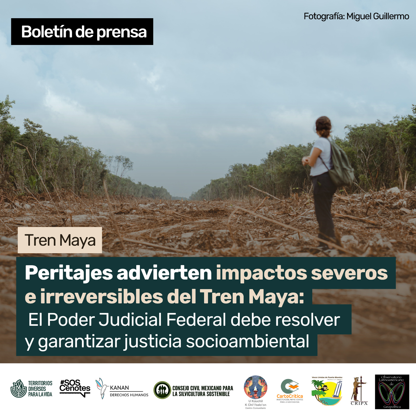 Boletín de prensa: Nuevos peritajes daño causado por Tren Maya