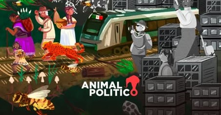Reseña del peritaje de daños causados por el Tren Maya.