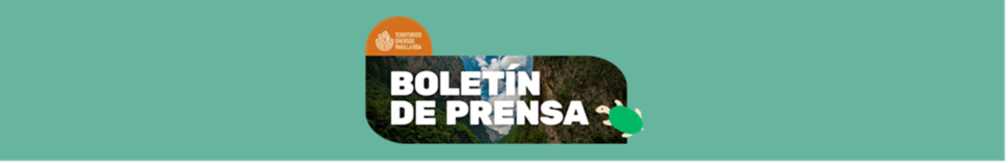 Boletín: Peritajes advierten impactos severos e irreversibles del Tren Maya