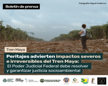 Boletín de prensa: Nuevos peritajes daño causado por Tren Maya