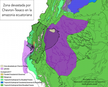 Zona devastada por Chevron-Texaco en la amazonia ecuatoriana